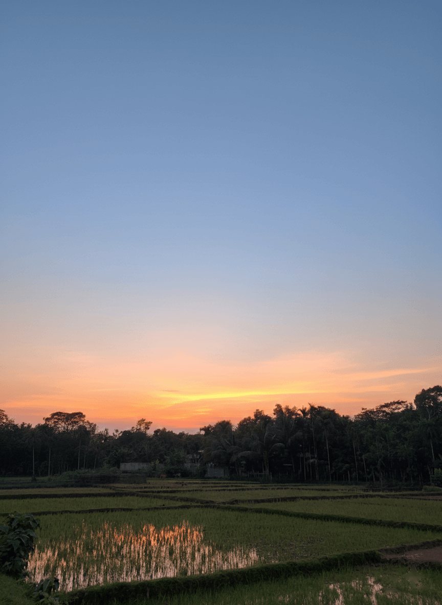 Beautiful sunset over Bangladesh rice fields
